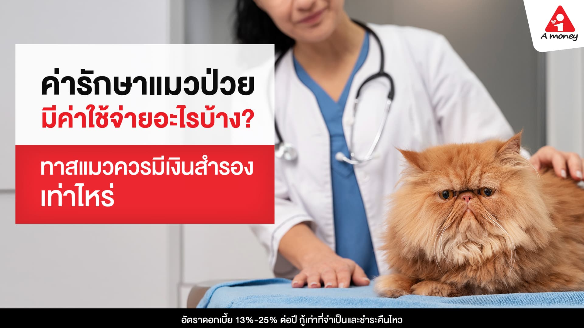 ค่ารักษาแมวป่วย